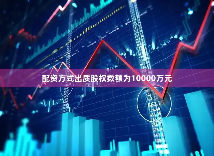 配资方式出质股权数额为10000万元