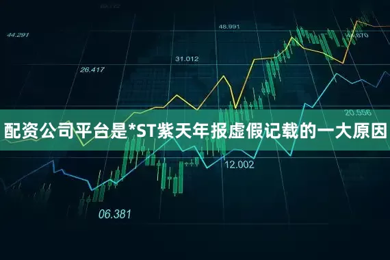配资公司平台是*ST紫天年报虚假记载的一大原因