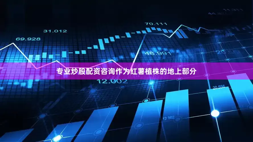 专业炒股配资咨询作为红薯植株的地上部分