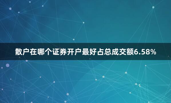 散户在哪个证券开户最好占总成交额6.58%