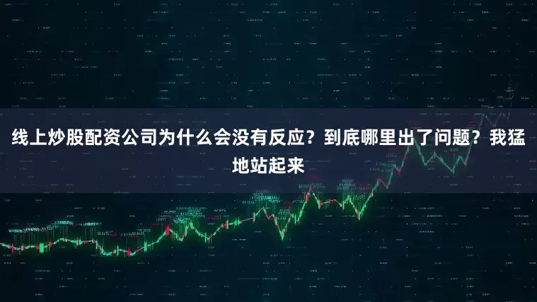 线上炒股配资公司为什么会没有反应？到底哪里出了问题？我猛地站起来
