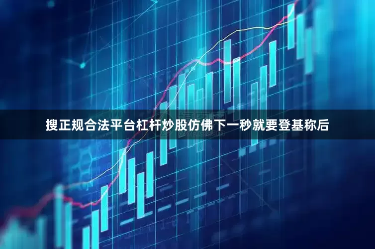 搜正规合法平台杠杆炒股仿佛下一秒就要登基称后