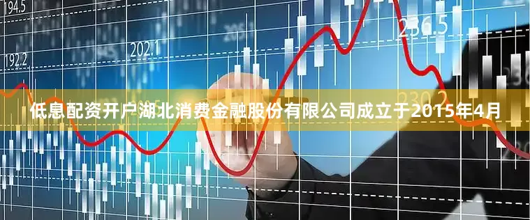 低息配资开户湖北消费金融股份有限公司成立于2015年4月